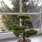 Appartement Palais Picard Ostfluegel Thale