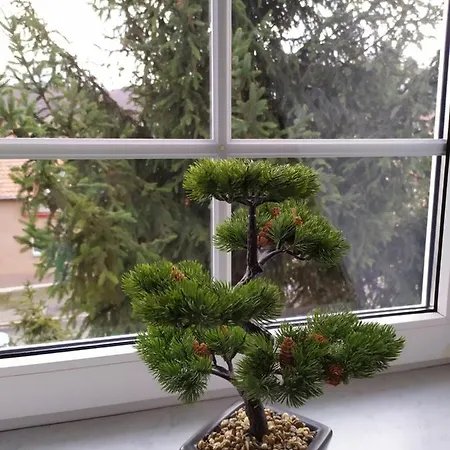 Appartement Palais Picard Ostfluegel Thale