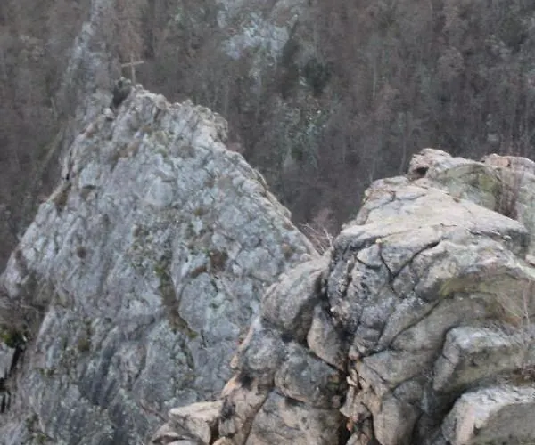 Palais Picard Ostfluegel * Thale