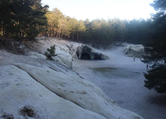 Appartement Palais Picard Ostfluegel