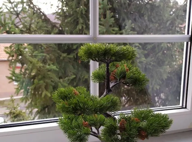 Appartement Palais Picard Ostfluegel Thale